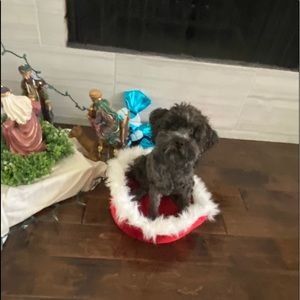 Meet your Posher, Tori